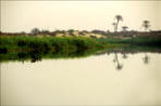 Gaza Strip